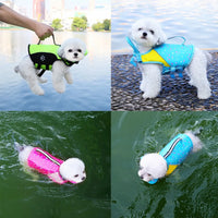 PawStormFloat