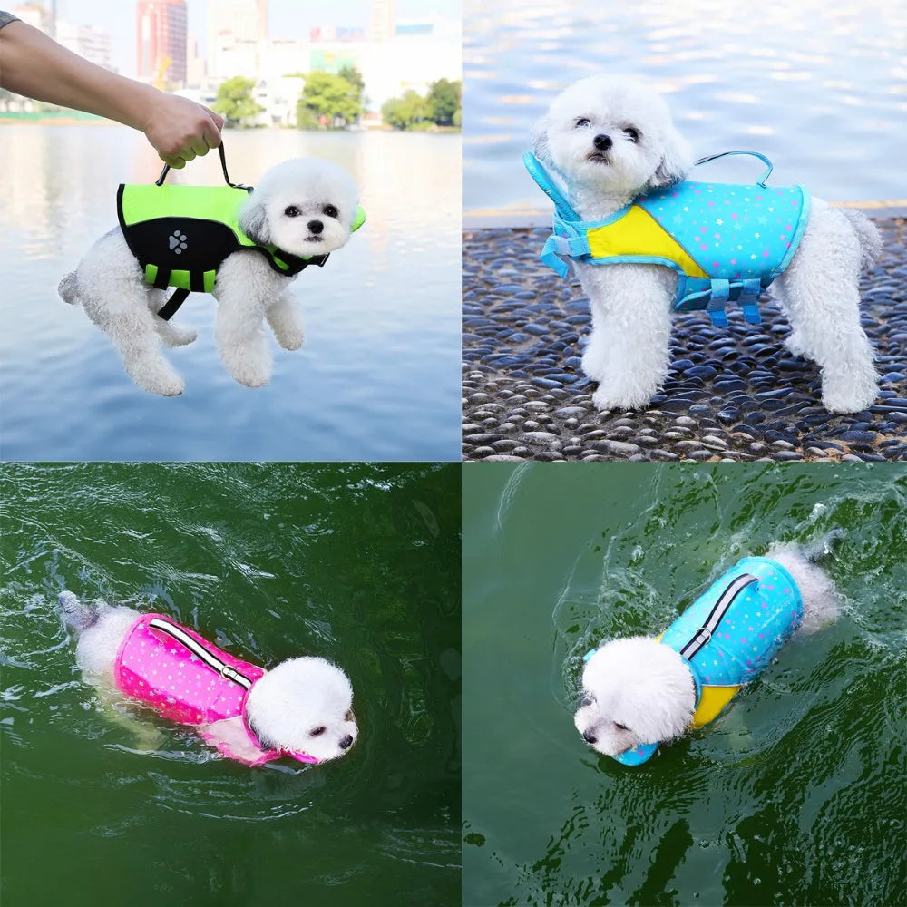PawStormFloat