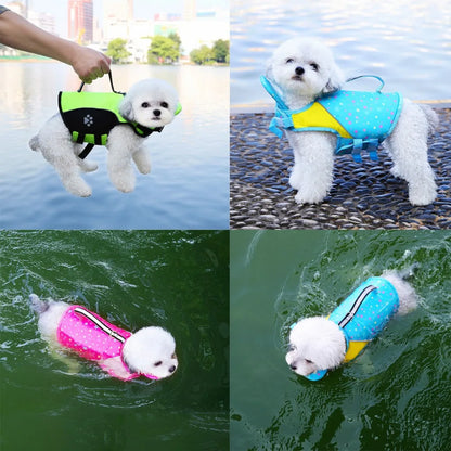 PawStormFloat