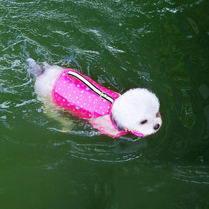 PawStormFloat