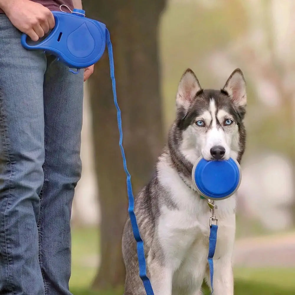PawBowlGo