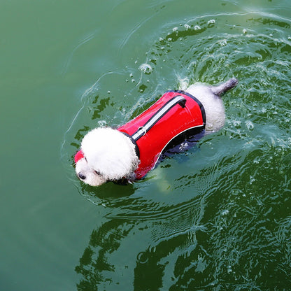 PawStormFloat