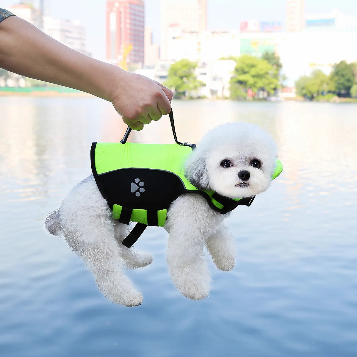 PawStormFloat