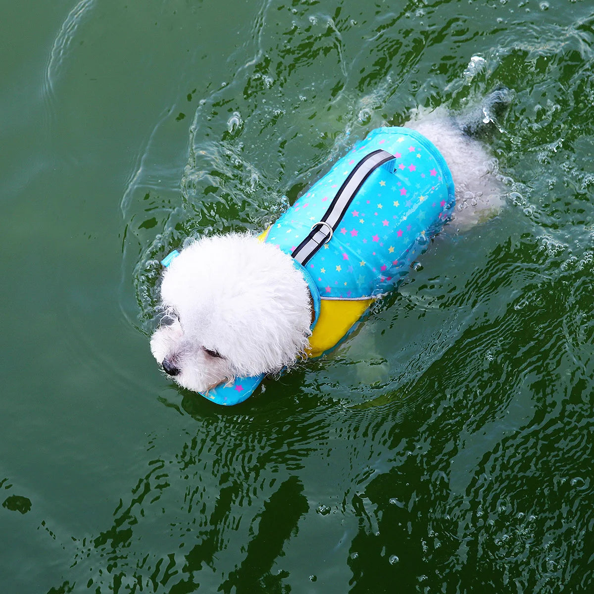 PawStormFloat